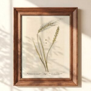 Christian Wall Art James 3:18 Seeds of Peace Vintage Wheat Print (Digital Download)