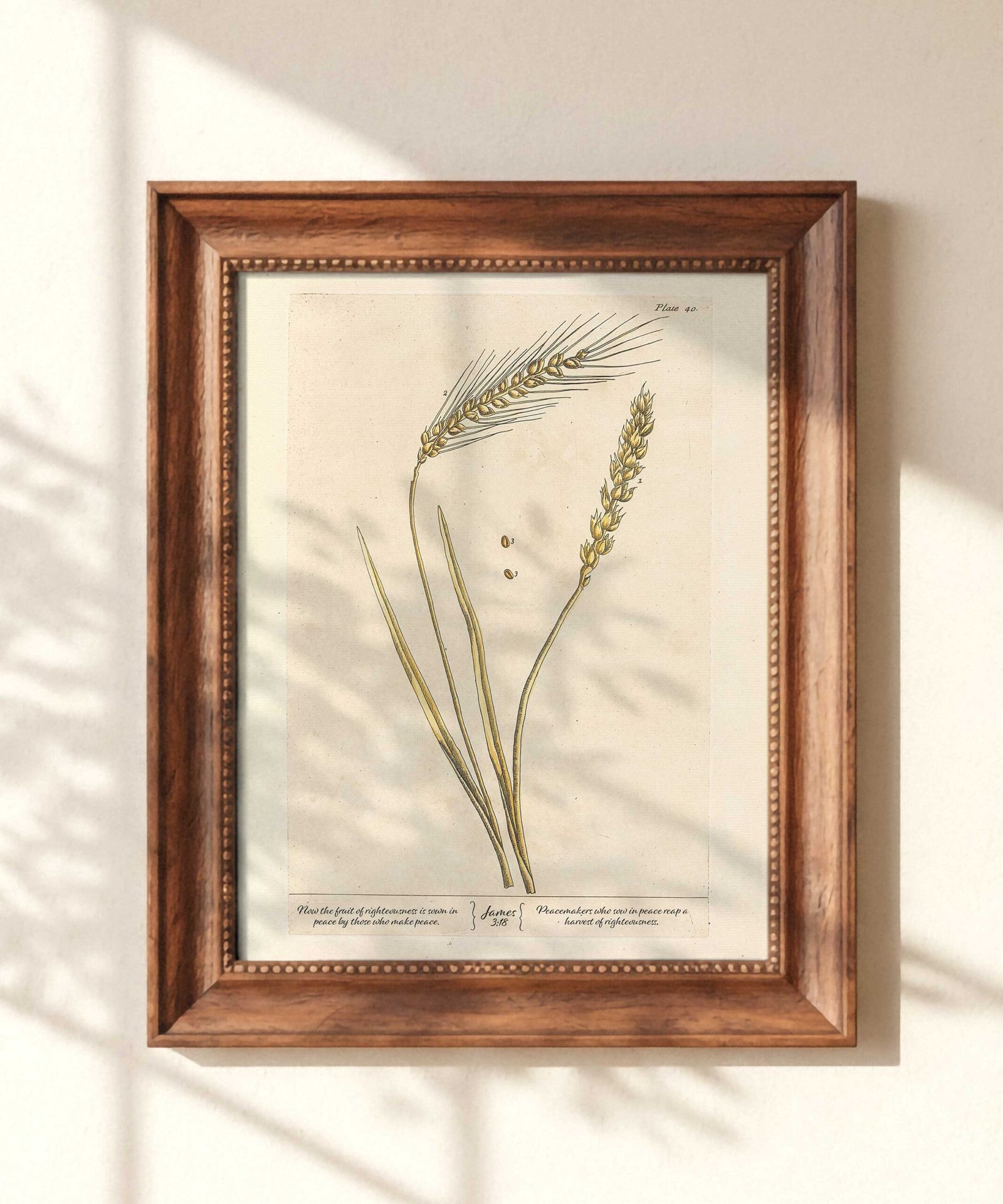 Christian Wall Art James 3:18 Seeds of Peace Vintage Wheat Print (Digital Download)