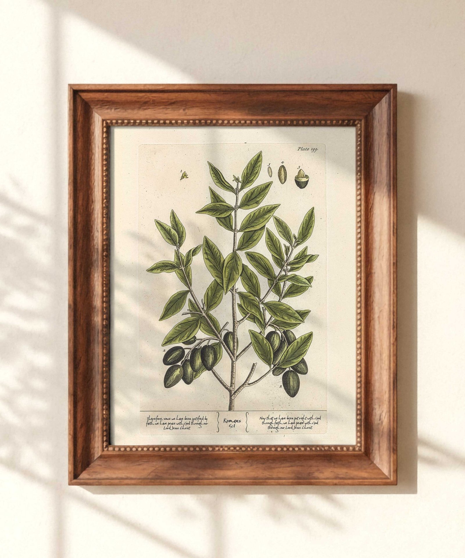 Christian Wall Art Vintage Print of Olive Branch with Romans 5:1 (Digital Download)