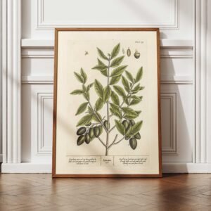 Alternative view of Christian Wall Art Vintage Print of Olive Branch with Romans 5:1 (Digital Download)