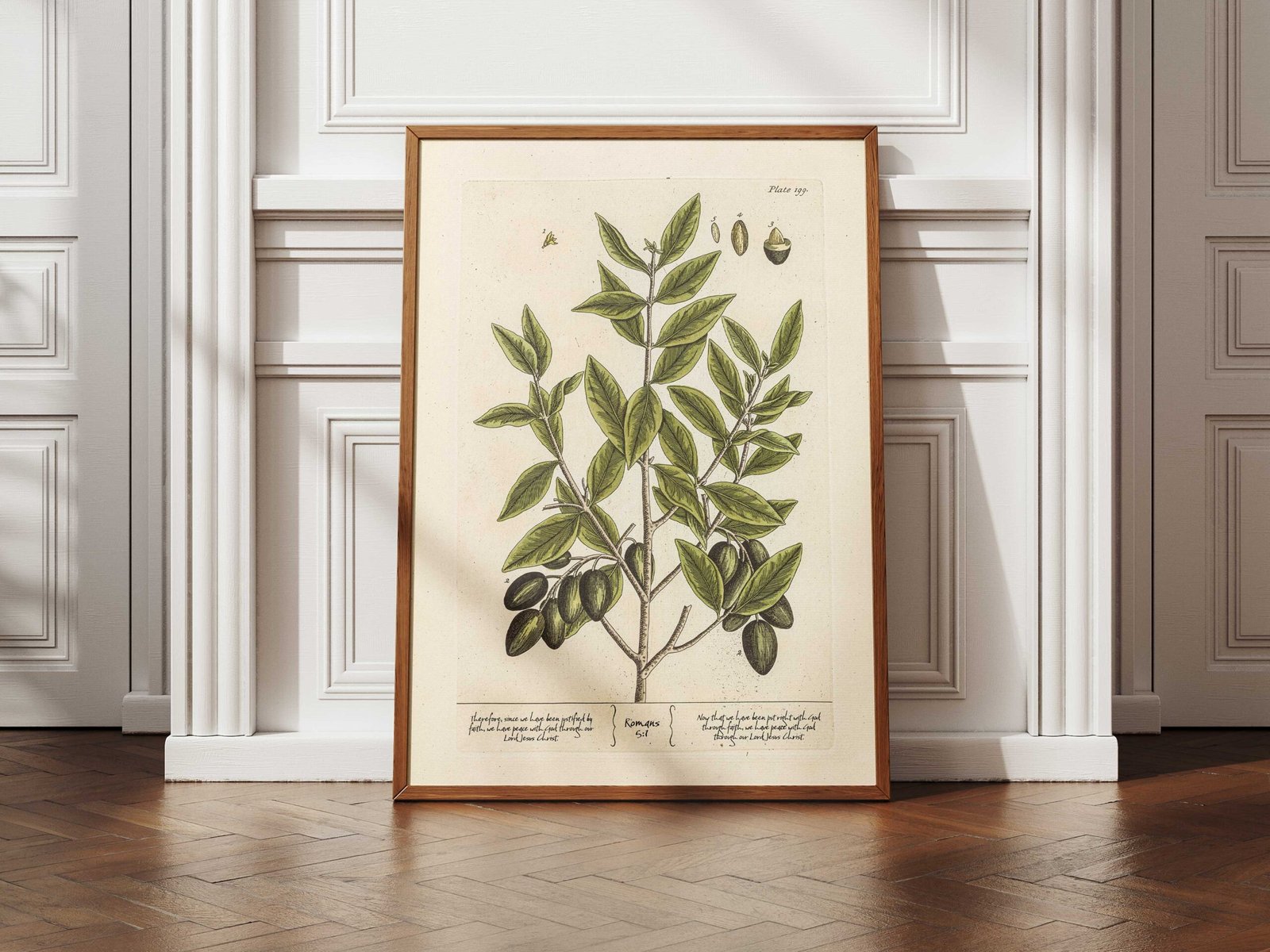 Christian Wall Art Vintage Print of Olive Branch with Romans 5:1 (Digital Download) - Image 2