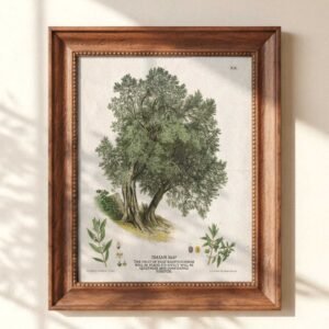 Christian Wall Art Vintage Painting of Olive Tree With Bible Verse About Peace (Digital Download)