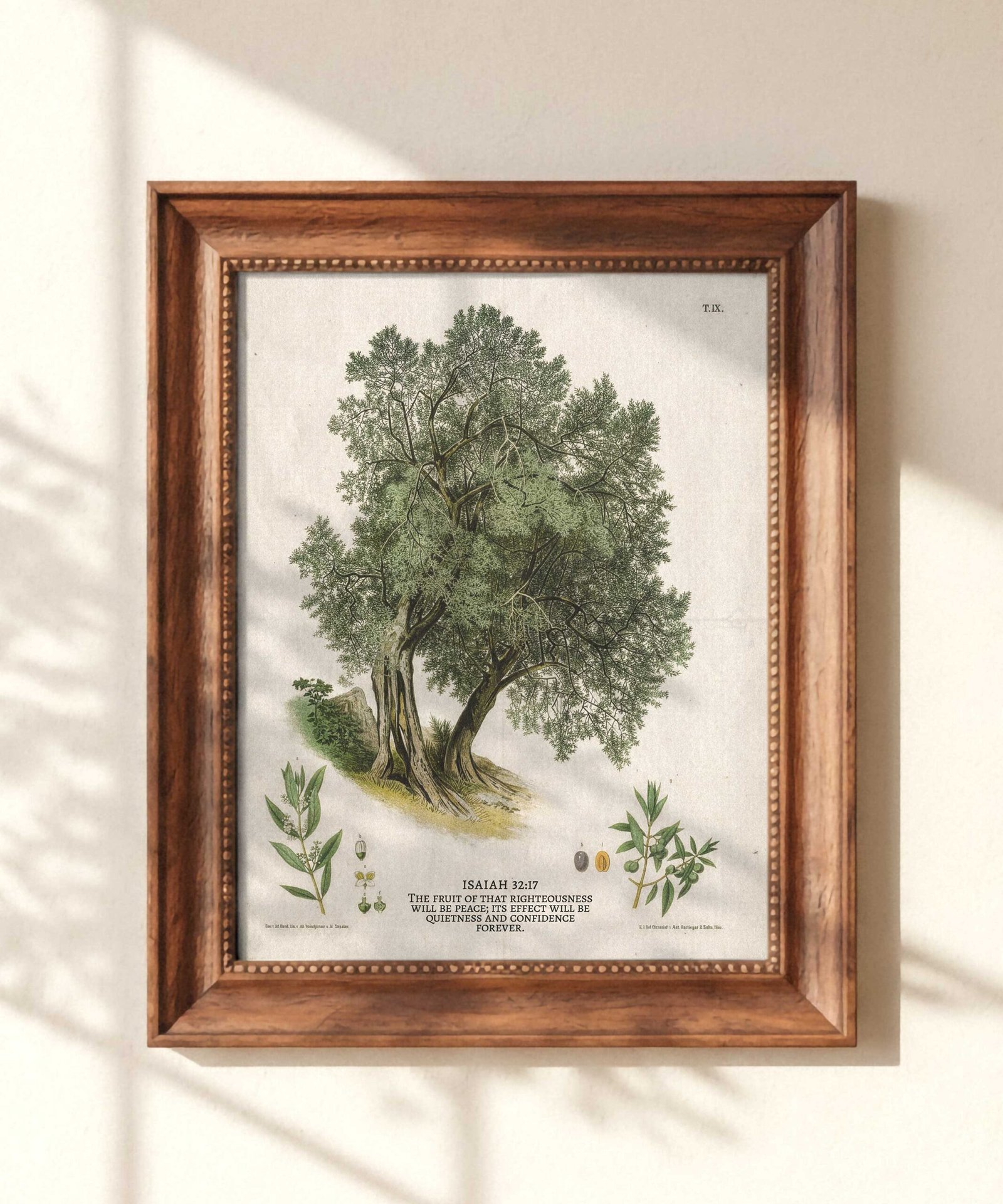 Christian Wall Art Vintage Painting of Olive Tree With Bible Verse About Peace (Digital Download)