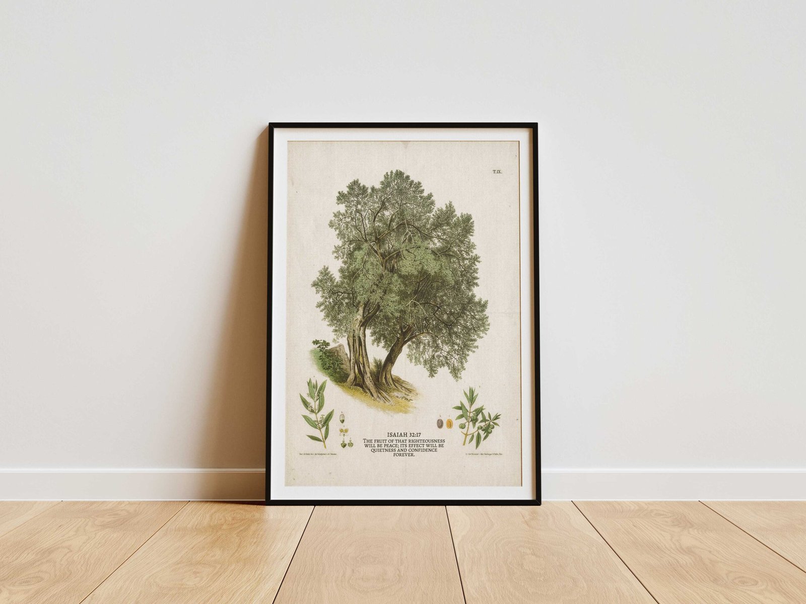 Christian Wall Art Vintage Painting of Olive Tree With Bible Verse About Peace (Digital Download) - Image 3