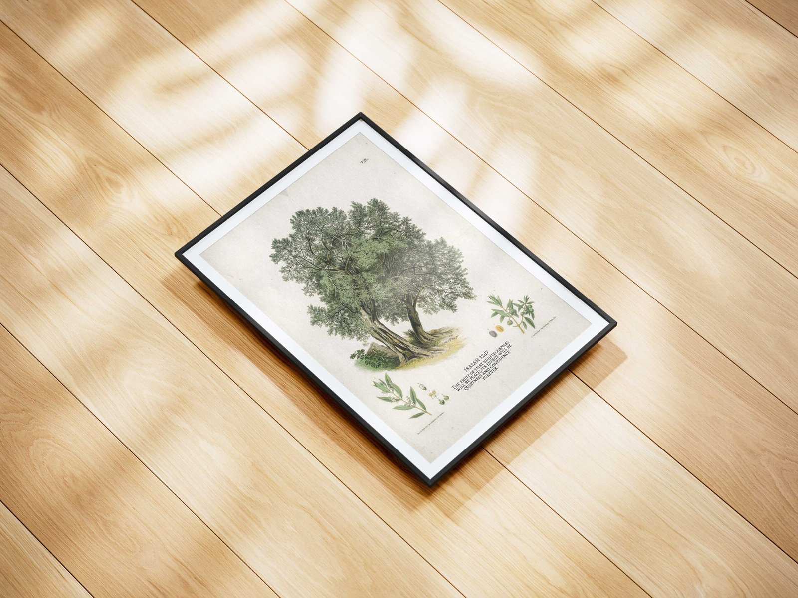 Christian Wall Art Vintage Painting of Olive Tree With Bible Verse About Peace (Digital Download) - Image 4