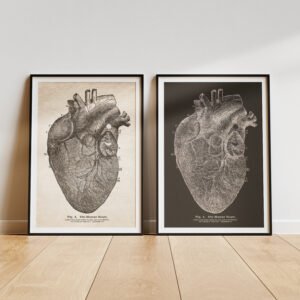 Proverbs 4:23 Bible Verse Vintage Medical Illustration of the Heart Anatomy Christian Wall Art Print Decor for Men