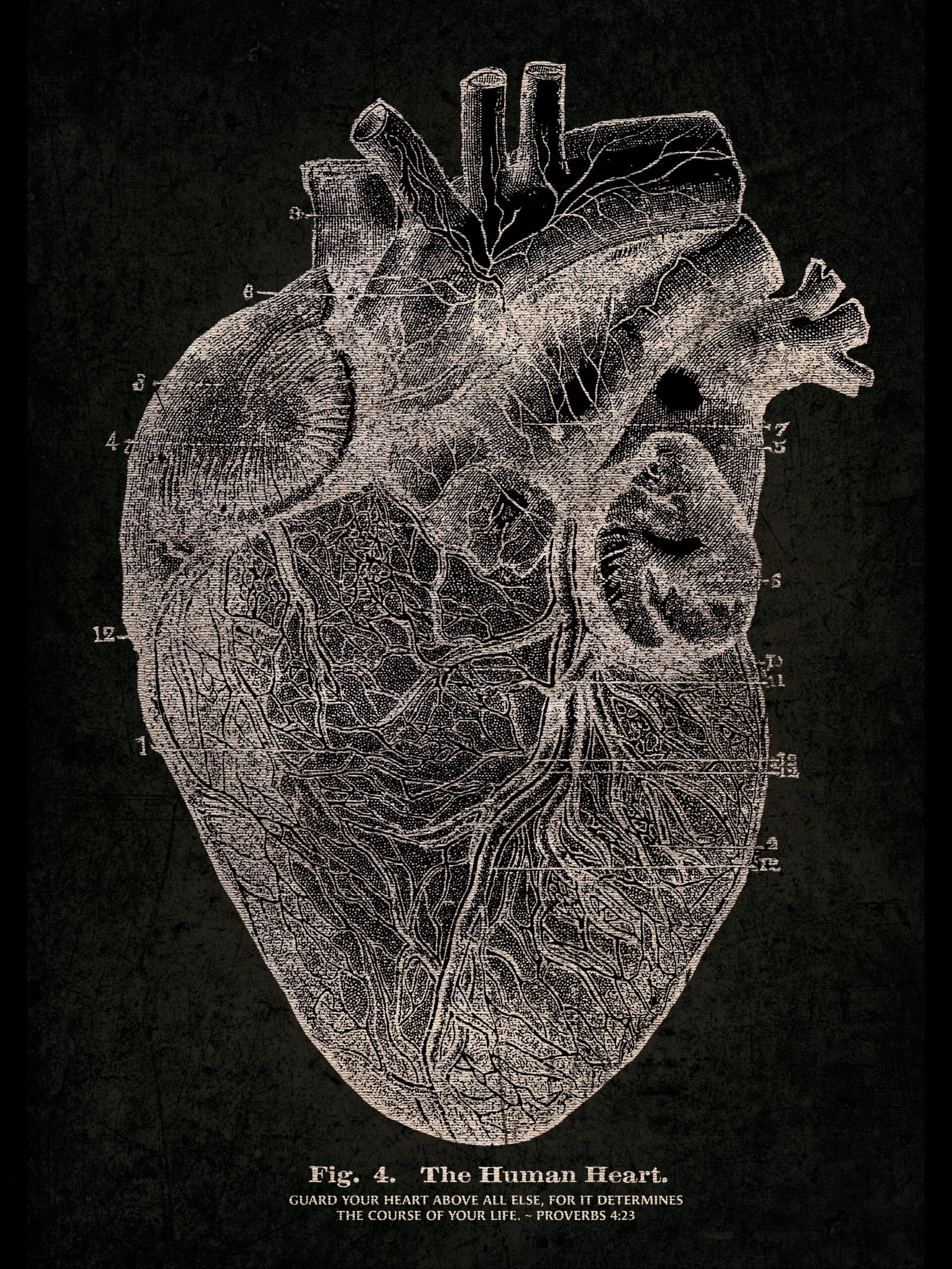 Proverbs 4:23 Bible Verse Vintage Medical Illustration of the Heart Anatomy Christian Wall Art Print Decor for Men - Image 4
