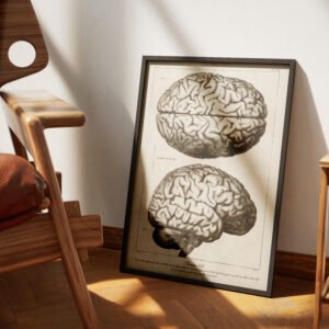 Alternative view of Romans 12:2 Bible Verse Vintage Medical Illustration of the Brain Anatomy Digital Art Print Christian Wall Art