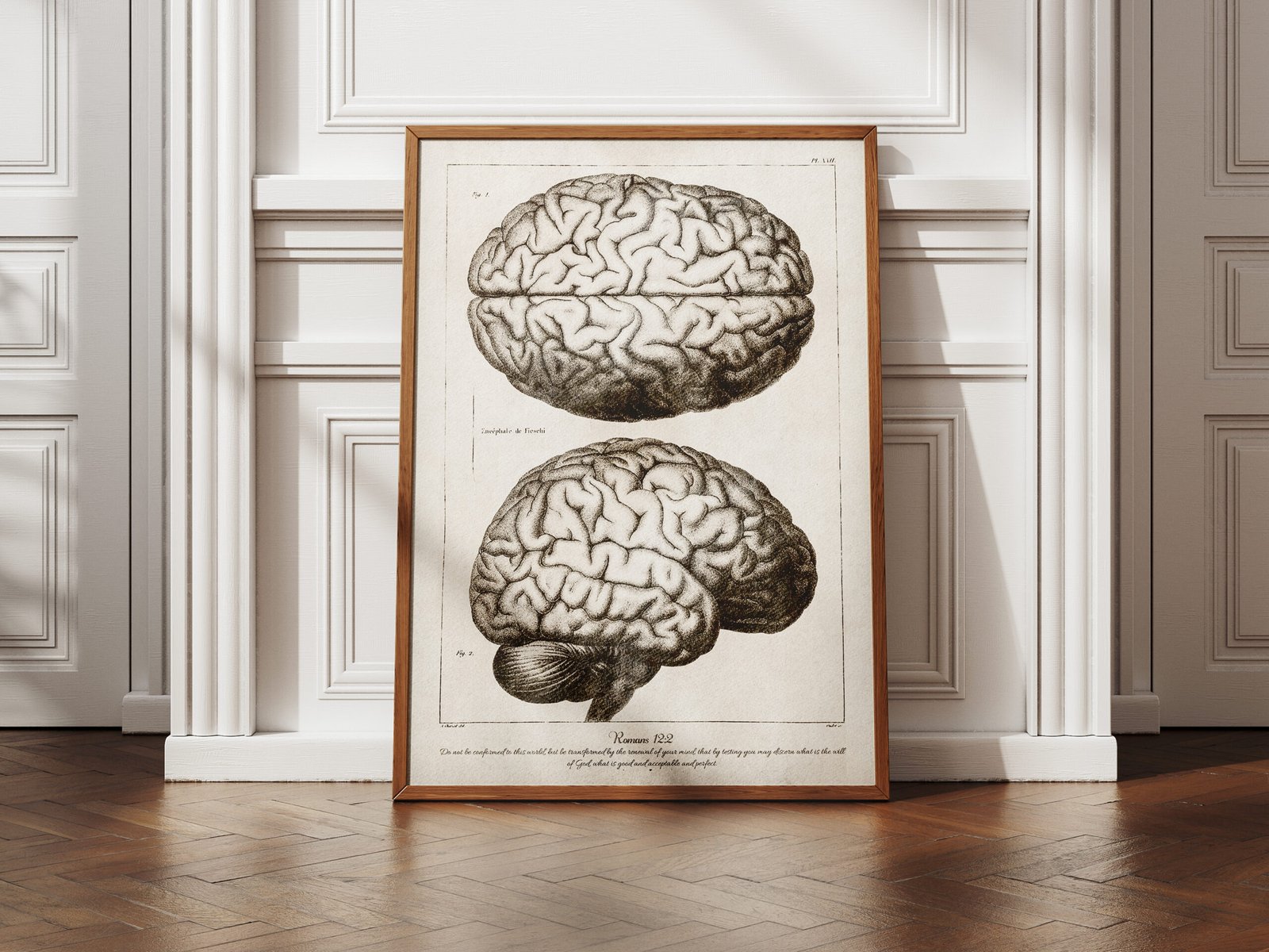 Romans 12:2 Bible Verse Vintage Medical Illustration of the Brain Anatomy Digital Art Print Christian Wall Art - Image 5