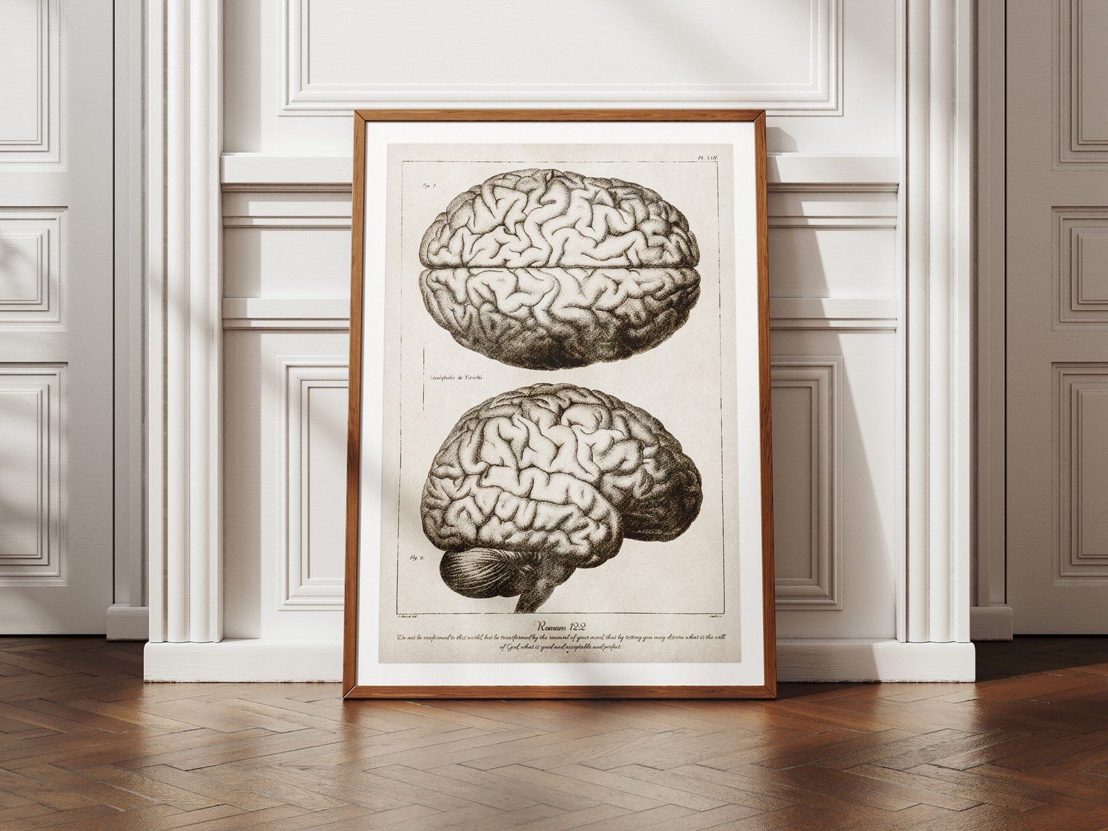 Romans 12:2 Bible Verse Vintage Medical Illustration of the Brain Anatomy Digital Art Print Christian Wall Art