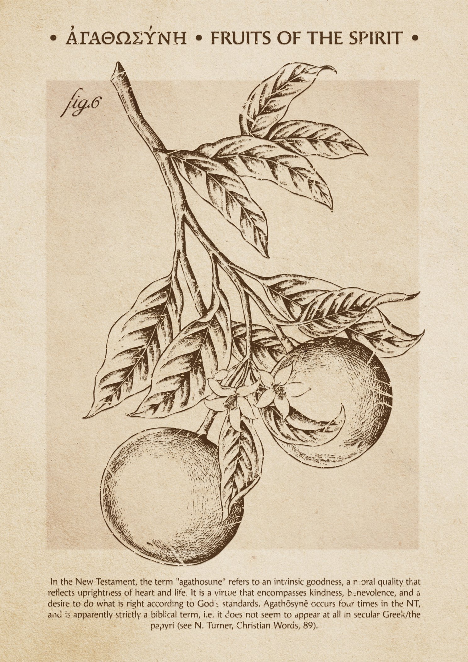 Fruit of the Spirit Goodness Print: Vintage Christian Wall Art (Digital Download) - Image 3