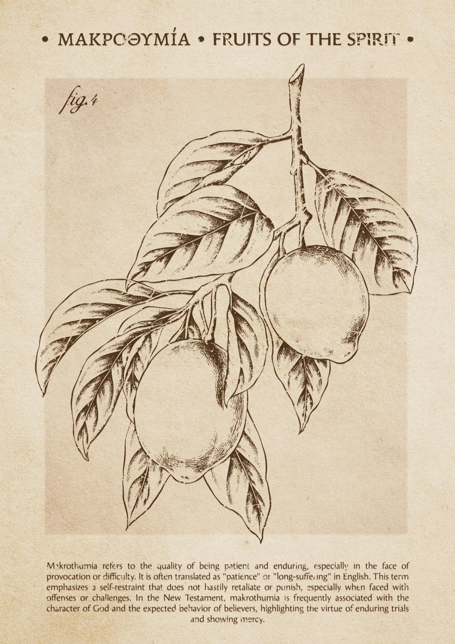 Patience Fruit of the Spirit Print: Vintage Christian Wall Art (Digital Download) - Image 3