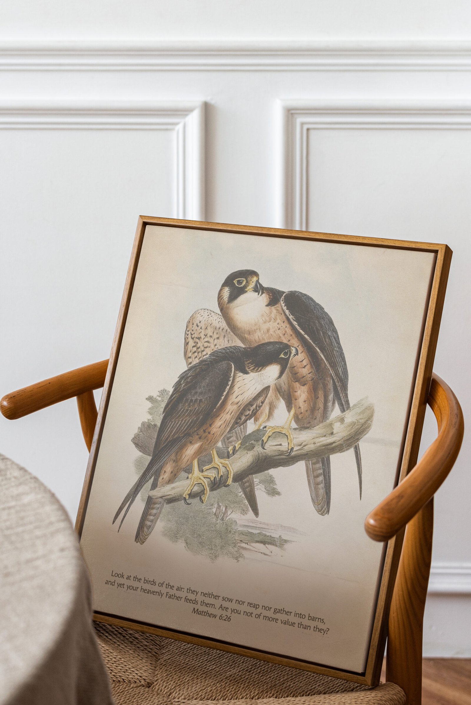 Matthew 6:26 “Look at the Birds” Vintage Falcon Digital Art Print Christian Wall Art for Men Shaheen Falcon by John Gould - Image 3